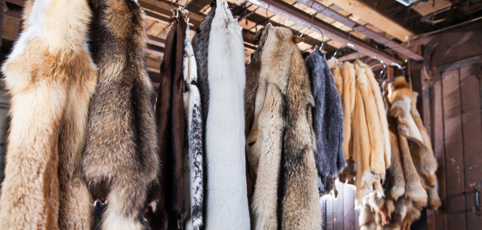Unmarked furs
